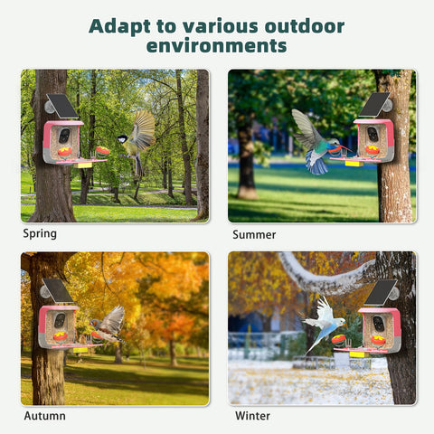 QUICTIGRY SD/Cloud storage options for bird moments