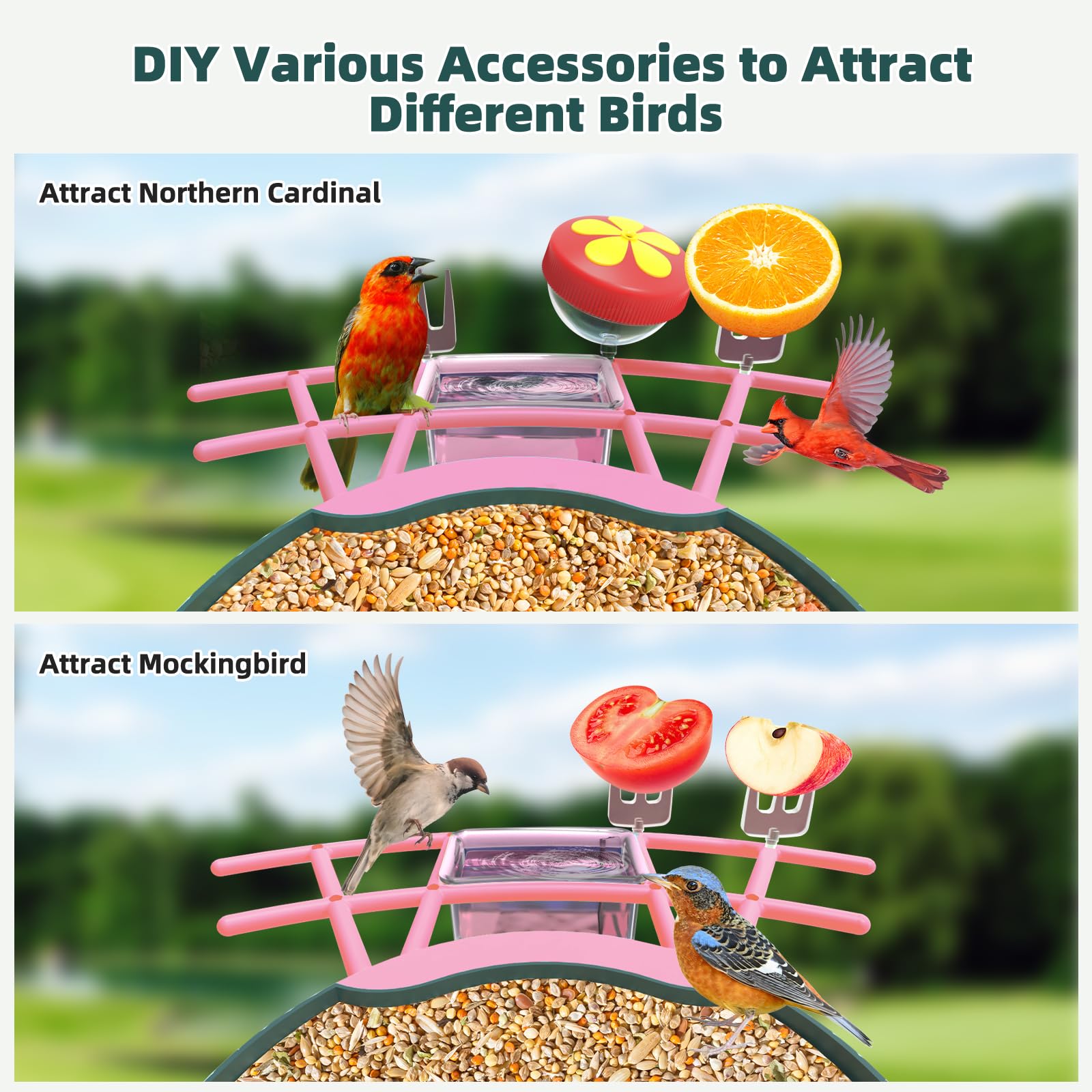 QUICTIGRY Bird feeder with two-way audio for listening and interaction