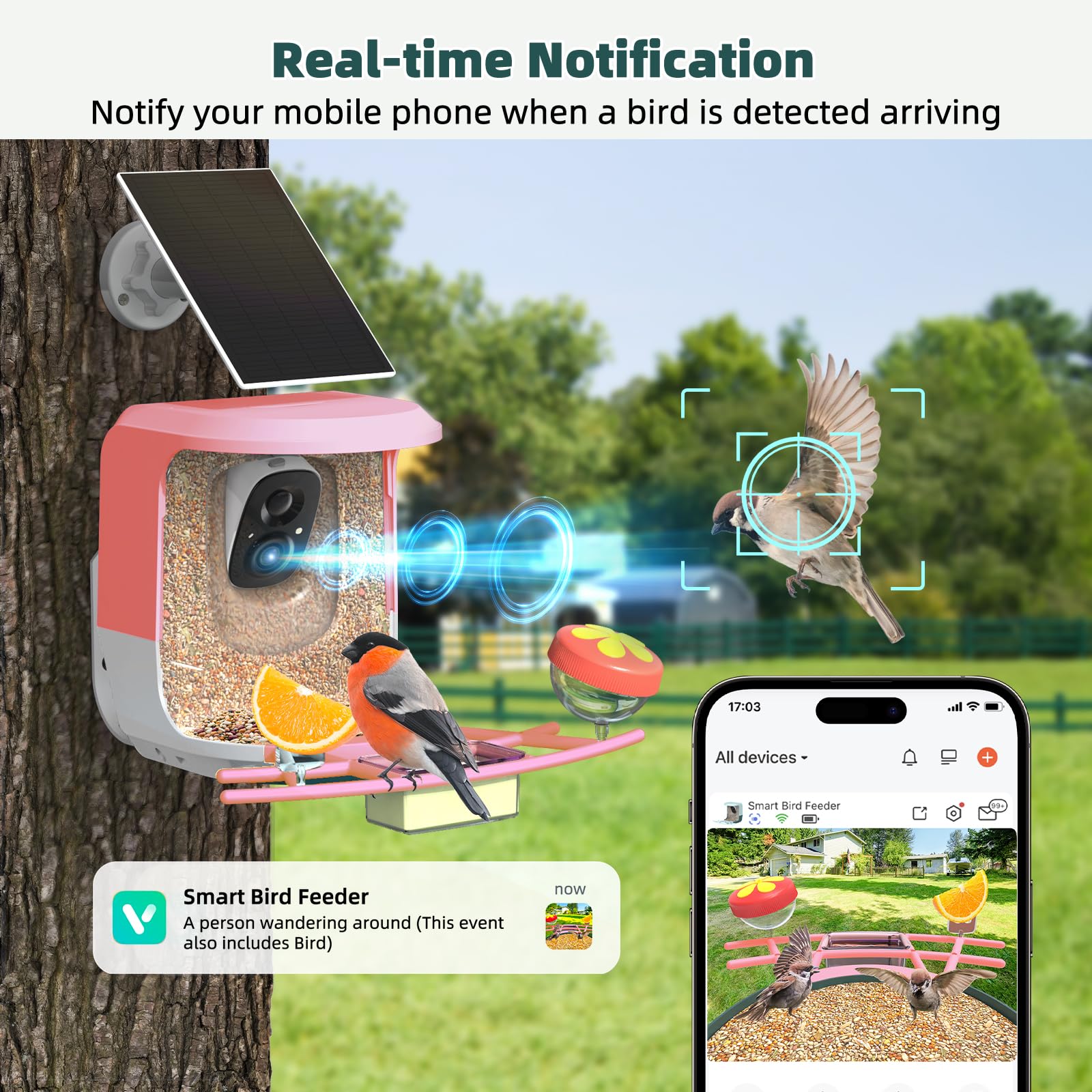 QUICTIGRY Solar panel connected feeder for outdoor charging