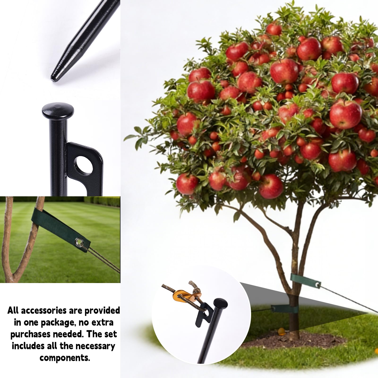Three-piece kit includes stakes, rope, and straps for complete support.