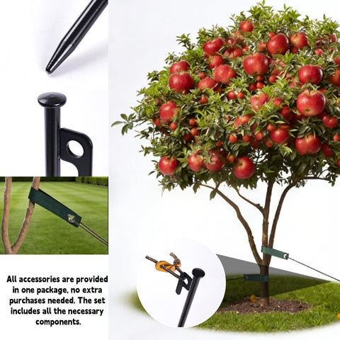 Three-piece kit includes stakes, rope, and straps for complete support.