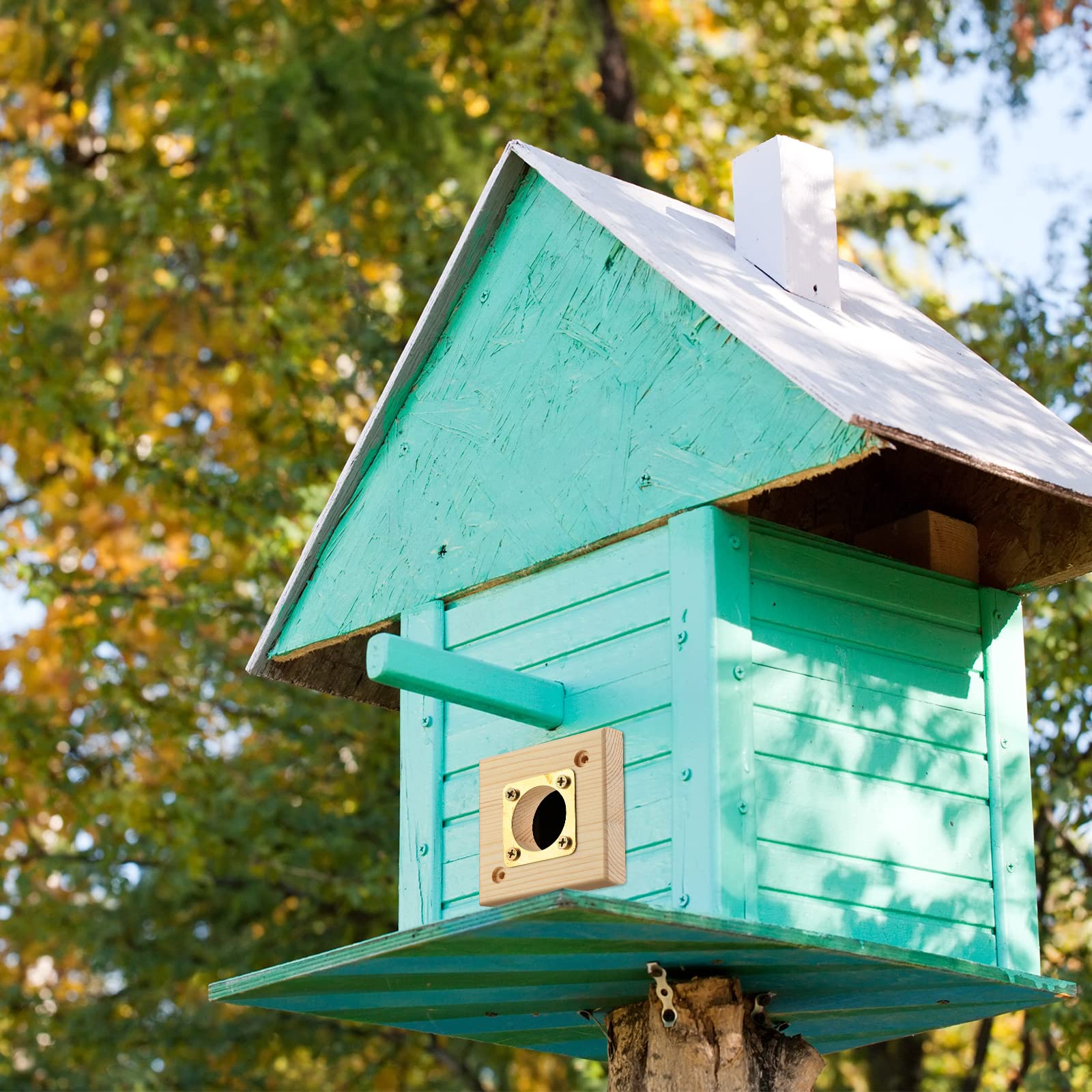 Qunclay bird protection guard supports nesting birds at entrances.