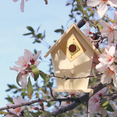 Qunclay bluebird house guard mounted on wall secures entry.