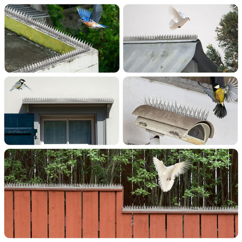 Quunoot Bird Spikes durable 304 stainless steel withstands weather and wear.