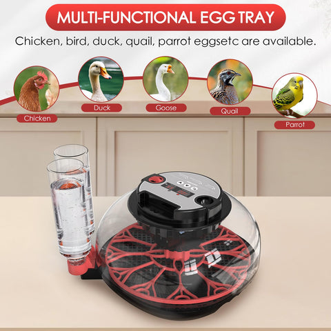 QVKHPCL incubator automatic egg Turner enabling gentle rotation