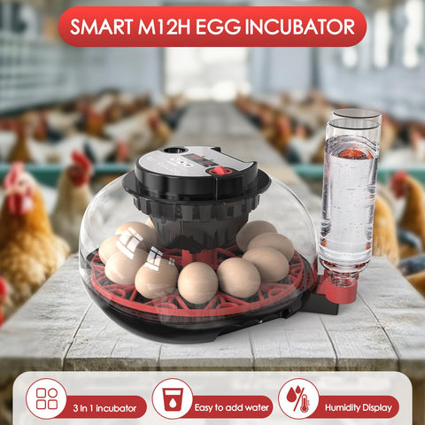 QVKHPCL PID temperature control maintains stable incubation conditions.