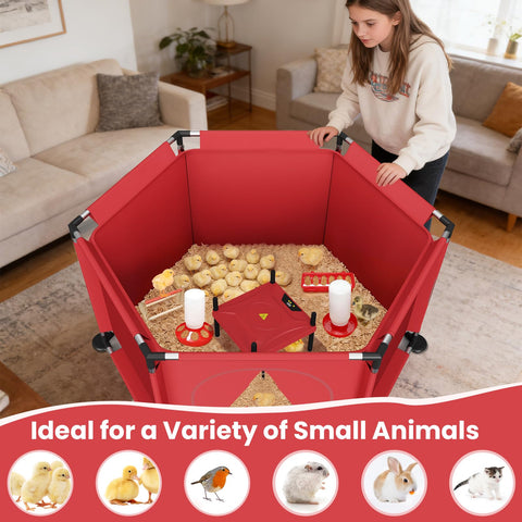 QVVCOOP Accommodates up to 30 chicks with comfortable play areas.