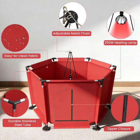 QVVCOOP perch offers safe roosting space for growing chicks.