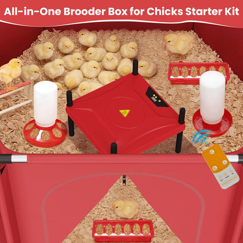 QVVCOOP Dimensions 50x43x25 inches image shows roomy space for chicks.