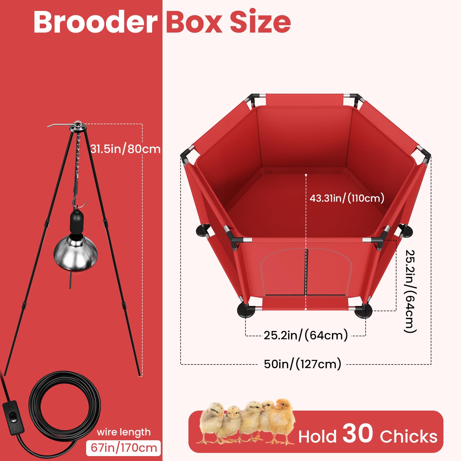 QVVCOOP feeder and waterer set keeps chicks fed and hydrated.