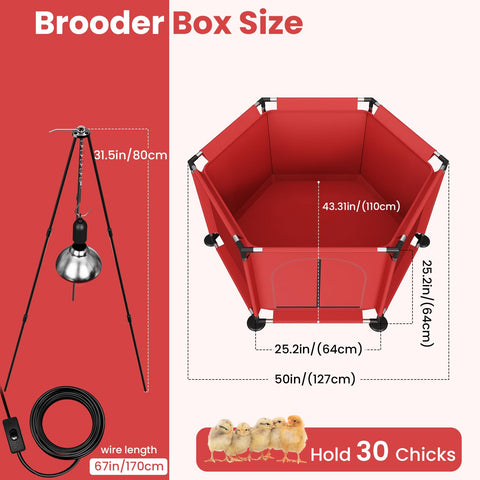 QVVCOOP feeder and waterer set keeps chicks fed and hydrated.