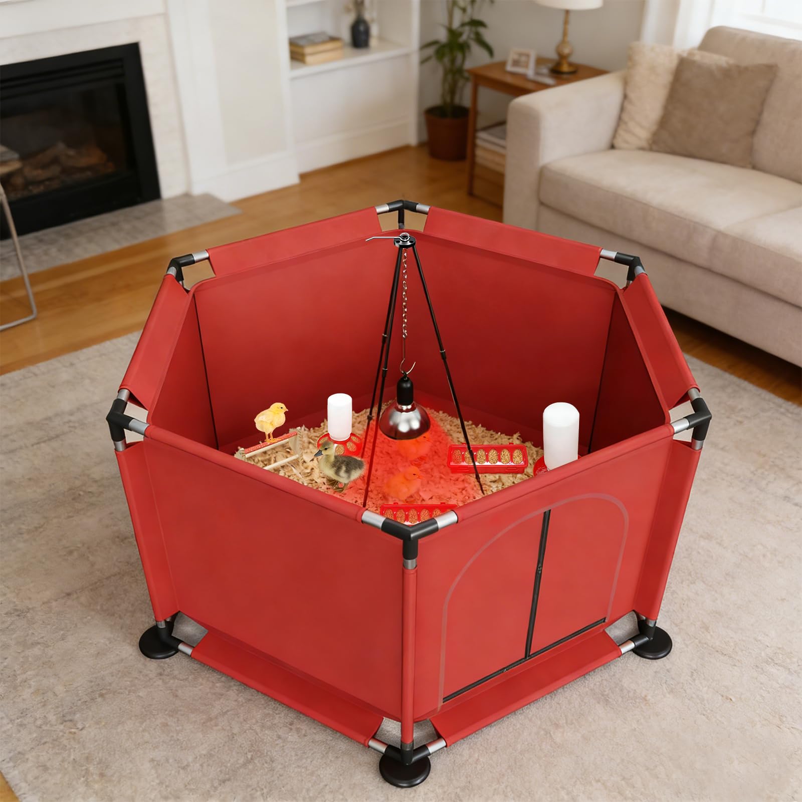 QVVCOOP spacious design fits up to 30 chicks for comfortable movement.