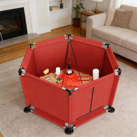 QVVCOOP spacious design fits up to 30 chicks for comfortable movement.