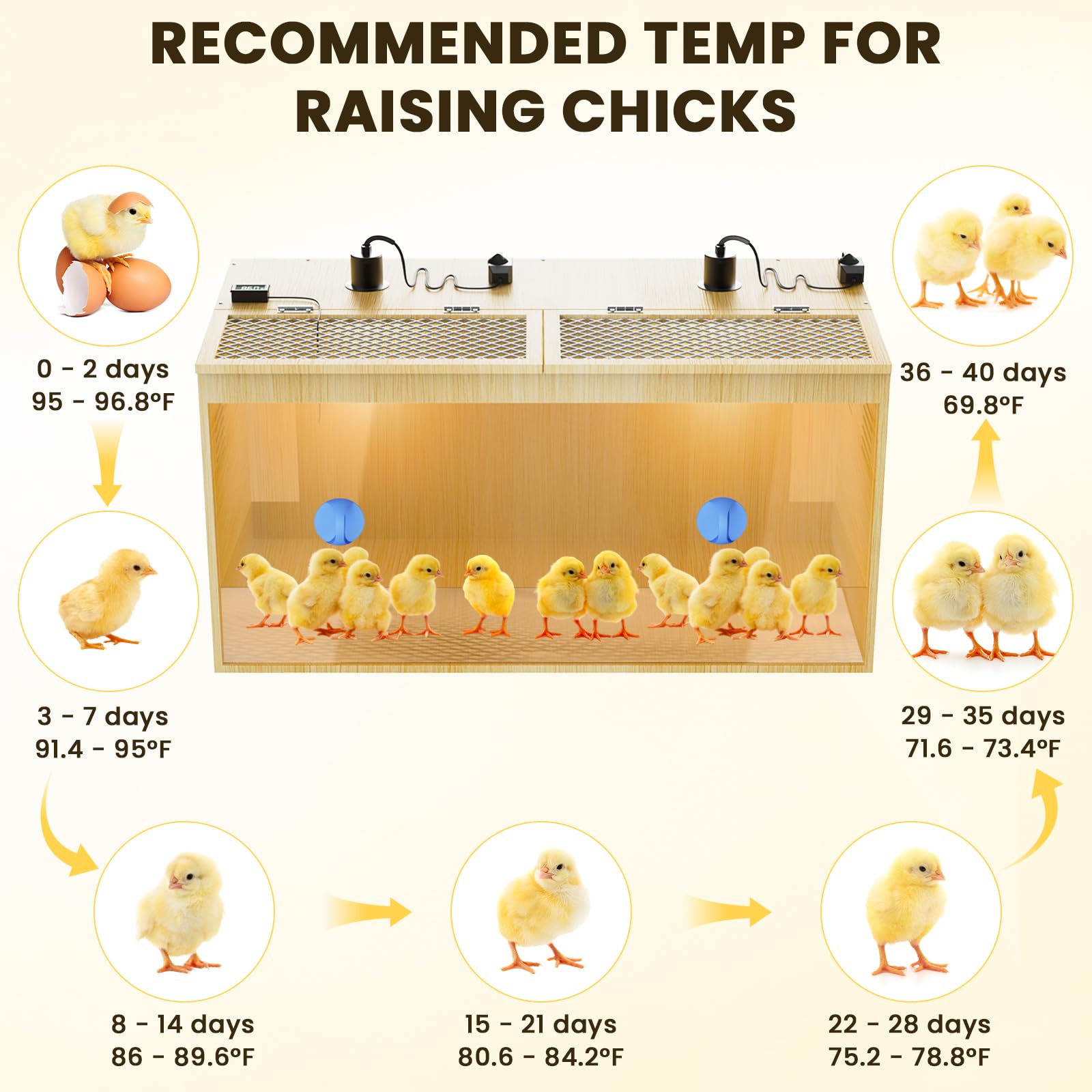 QVVCOOP spacious chick brooder space for 12-15 newborns