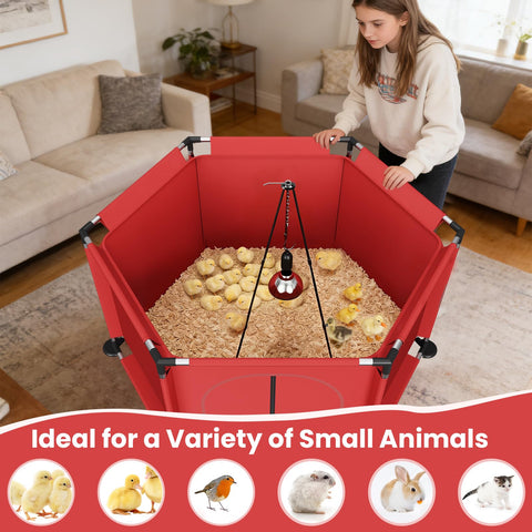 QVVCOOP stainless steel frame resists pecking and daily use.