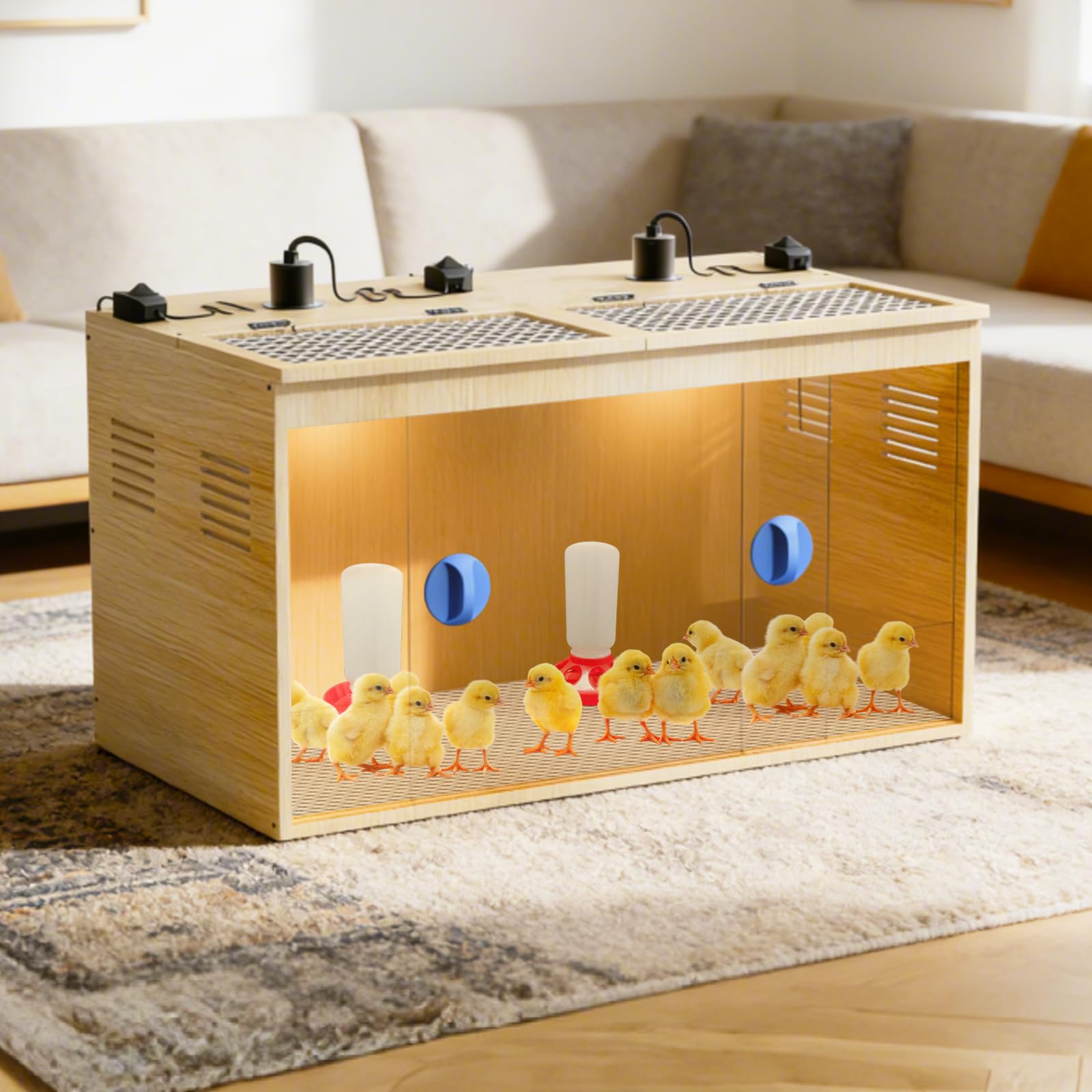 QVVCOOP vent holes ensure airflow and fresh air in the brooder
