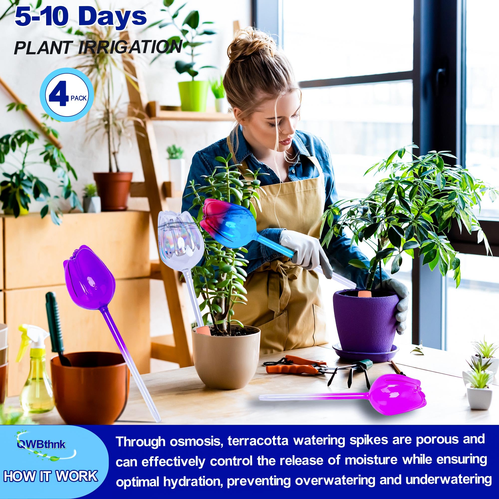 QWBthnk gift-ready set for plant lovers, both functional and decorative.