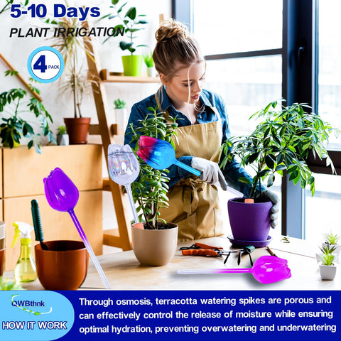 QWBthnk gift-ready set for plant lovers, both functional and decorative.