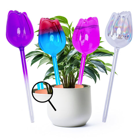 QWBthnk tulip-shaped glass watering globe delivers slow, steady hydration for plants.