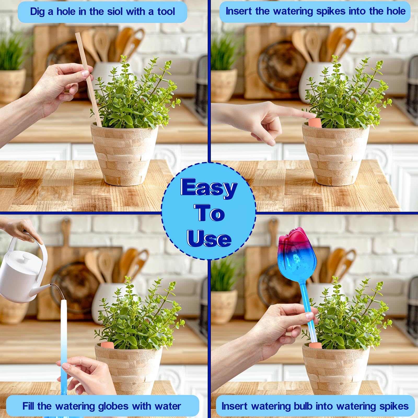 QWBthnk vacation care globes extend plant hydration during trips.