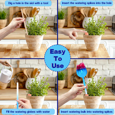 QWBthnk vacation care globes extend plant hydration during trips.