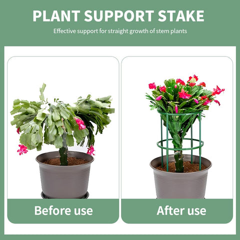 QWLWBU plastic stakes are durable and reusable