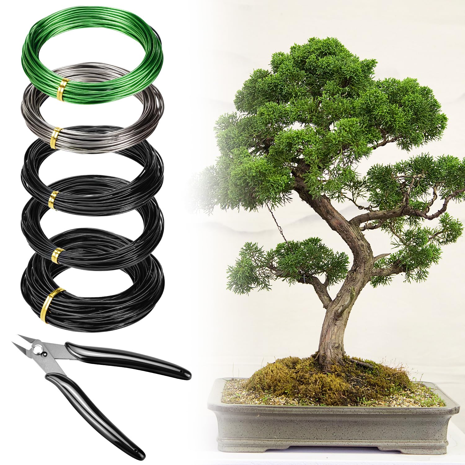 QWORK Bonsai training kit image showing ready-to-use rolls for shaping.