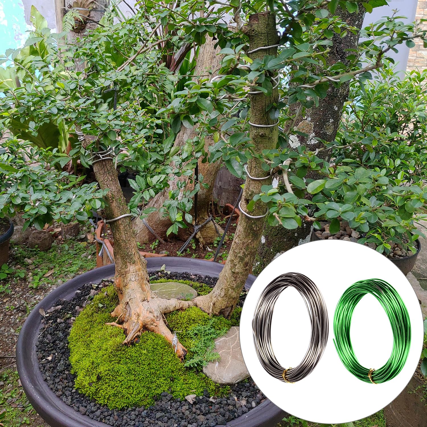 QWORK Bonsai wire 1mm green roll blends with leaves for stealth wiring.