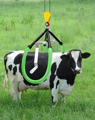 QWORK cow hip lift crossbar with sponge mat reduces pressure during use