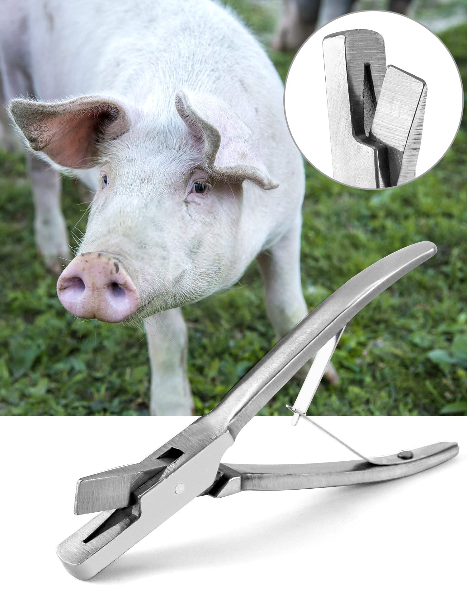 QWORK Pig Ear Tag Pliers resist rust for long-term use on farms.