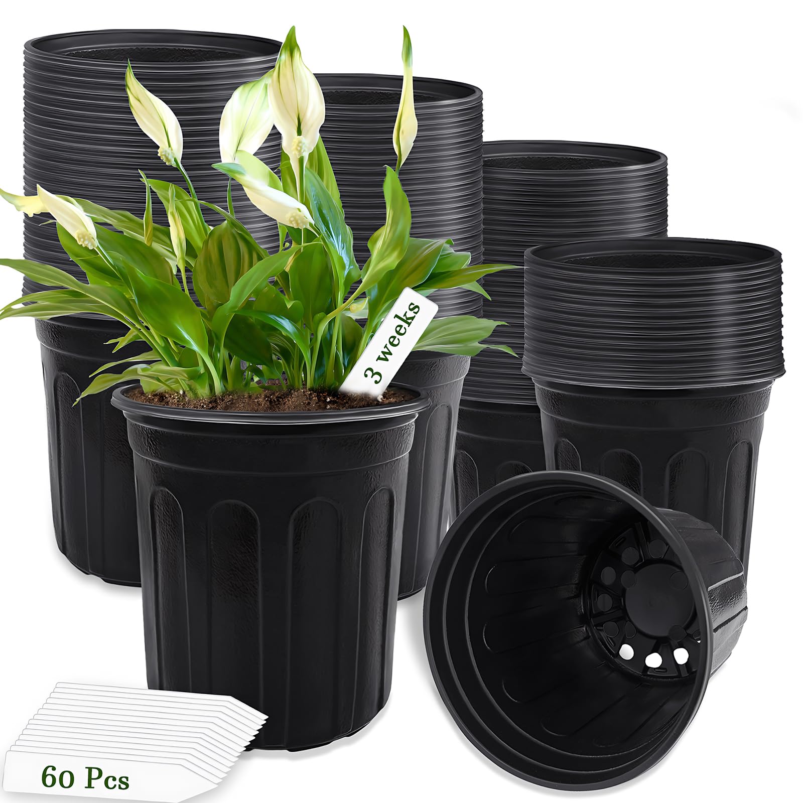 Qyyiguf 60-pcs 1-gallon nursery pots set for organized seedling projects.