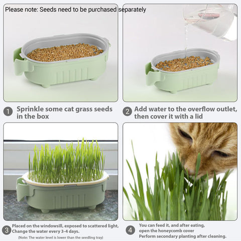 QZAVIRE compact indoor garden fits small spaces elegantly