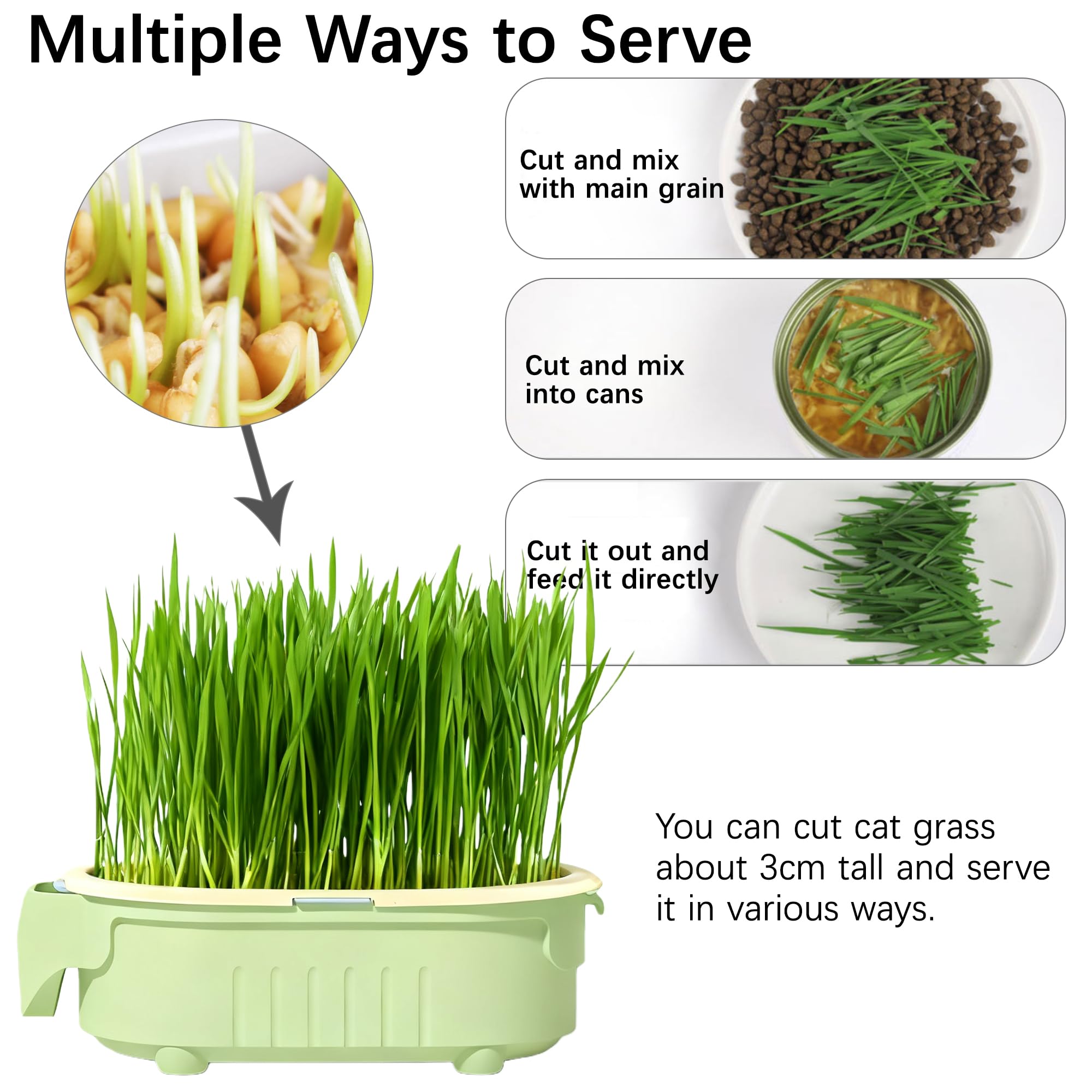 QZAVIRE reusable PP material tray for durable use