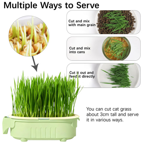 QZAVIRE reusable PP material tray for durable use