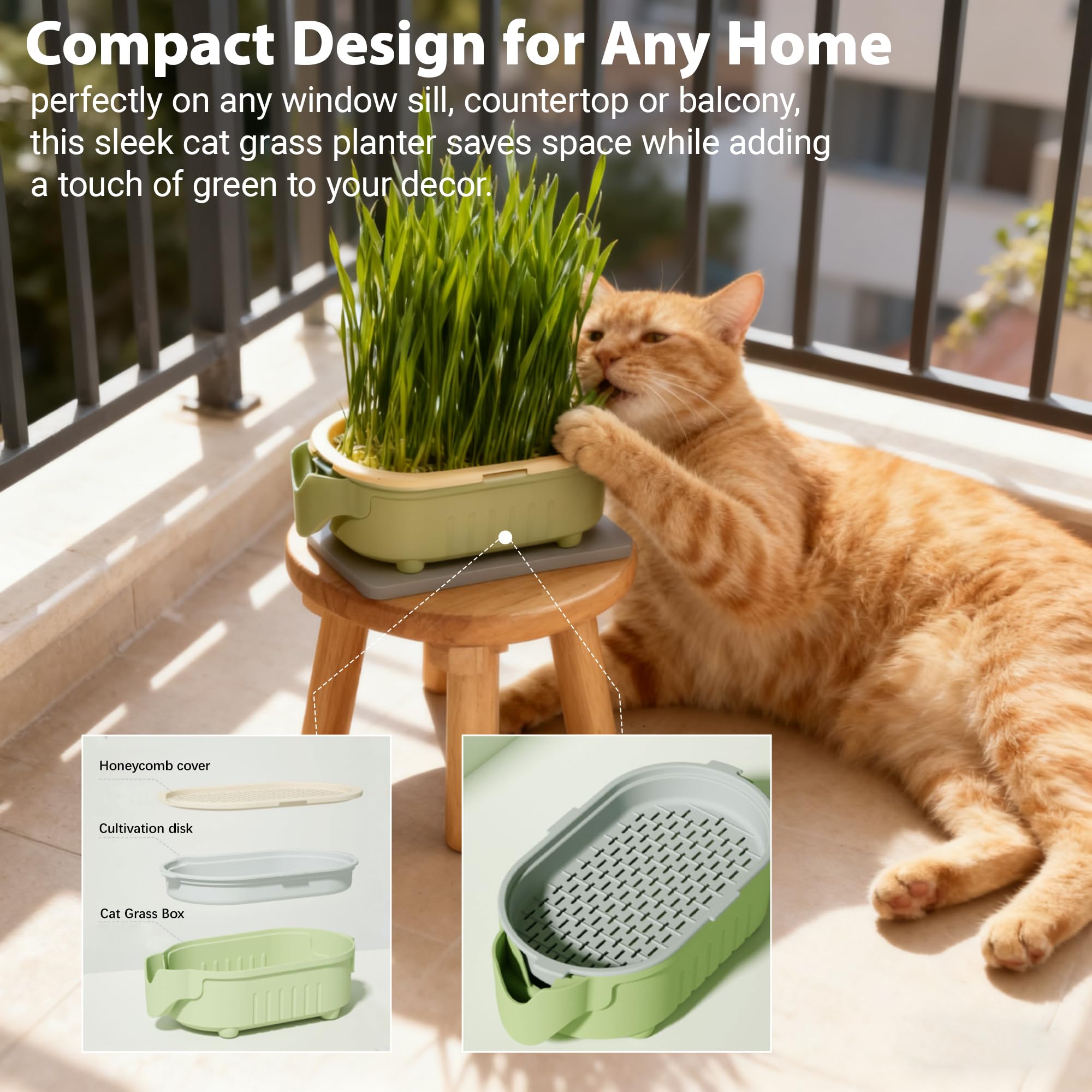 QZAVIRE self-watering tray enabling low-maintenance indoor planting