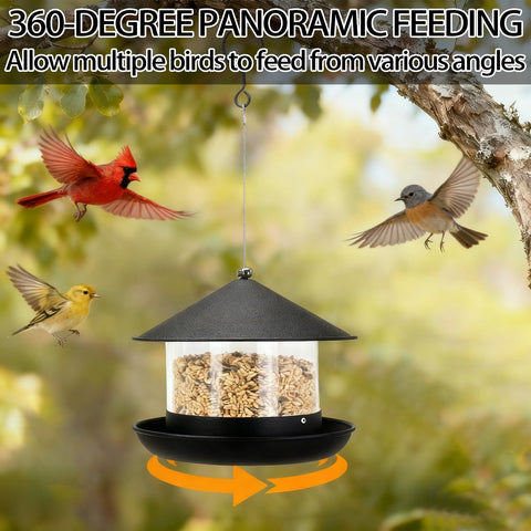 QZLOHOM wild bird feeder easy-maintenance with clear seed level view