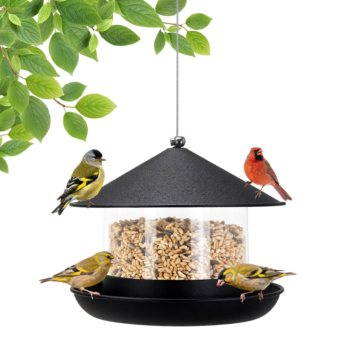 QZLOHOM wild bird feeder with large-capacity container for busy backyards