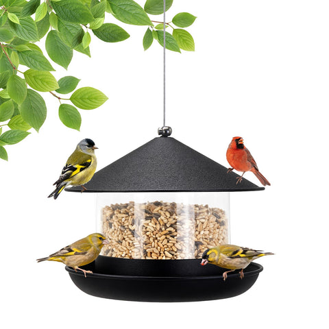 QZLOHOM wild bird feeder with large-capacity container for busy backyards