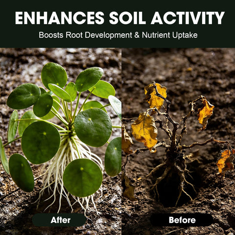 Racgrul Soil Activator boosts root growth in potted plants.