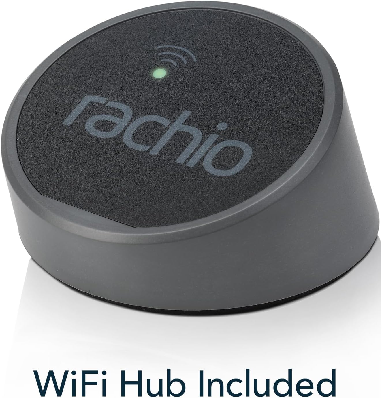 Rachio rain skip feature visually skipping watering when rain is forecast.