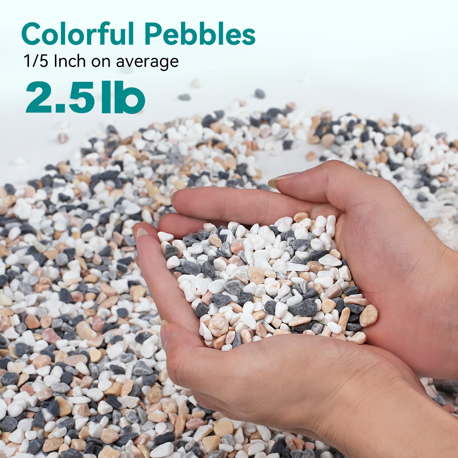 Rahato 1/5 inch pebbles for indoor plants support soil stability and aesthetics.