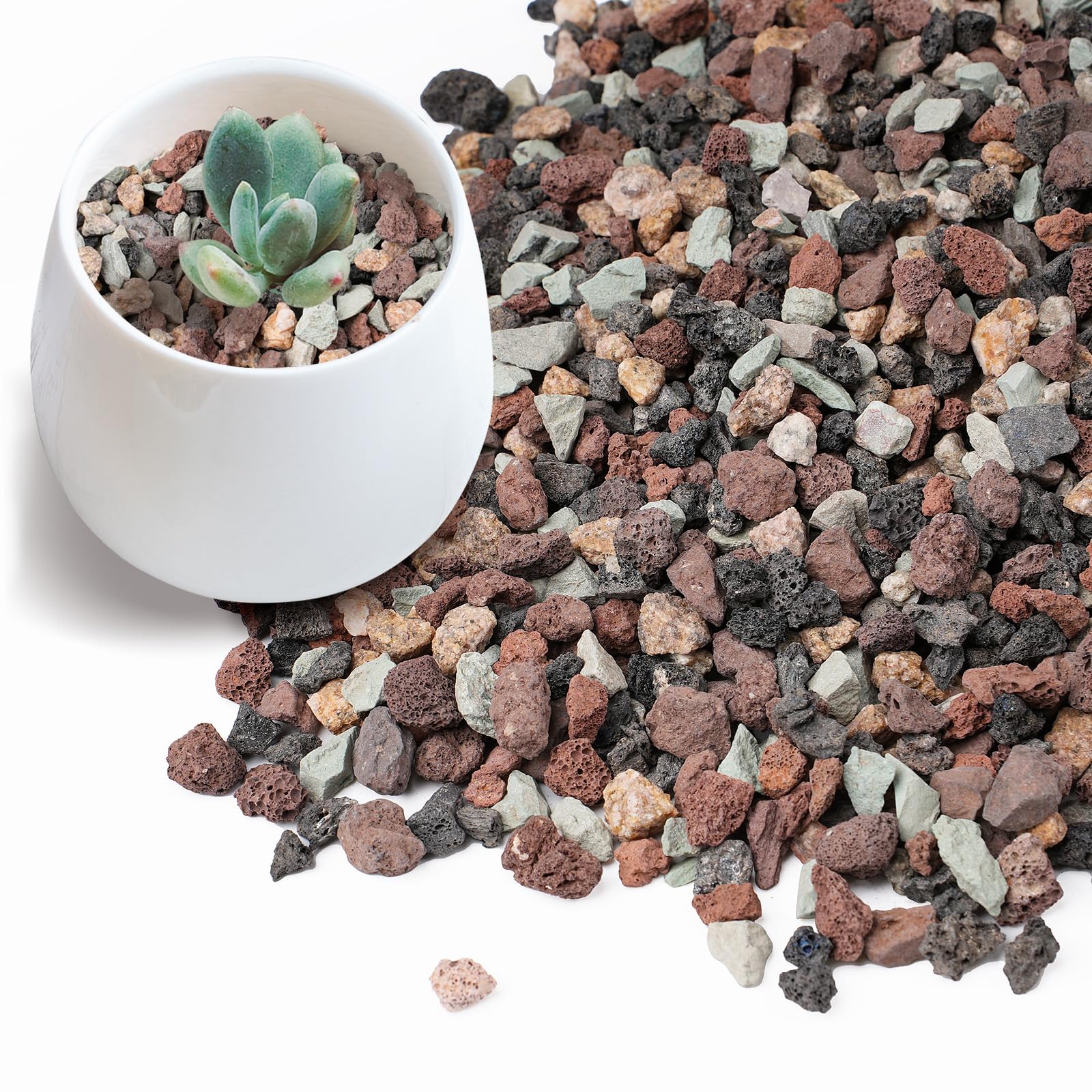 Rahato lava rock mix one-fifth inch pieces for natural drainage and decorative planting media.