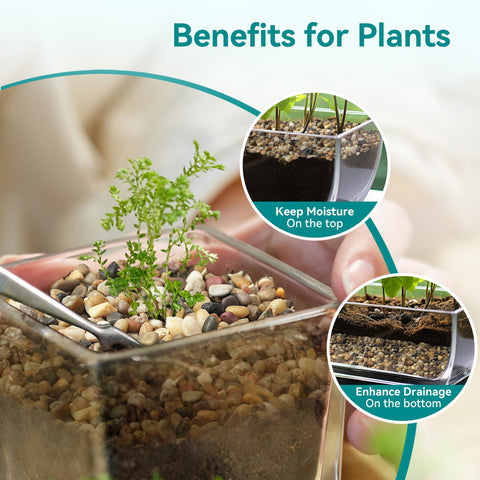 Rahato 5lbs potted plants drainage pebbles, helping prevent soil erosion in containers.