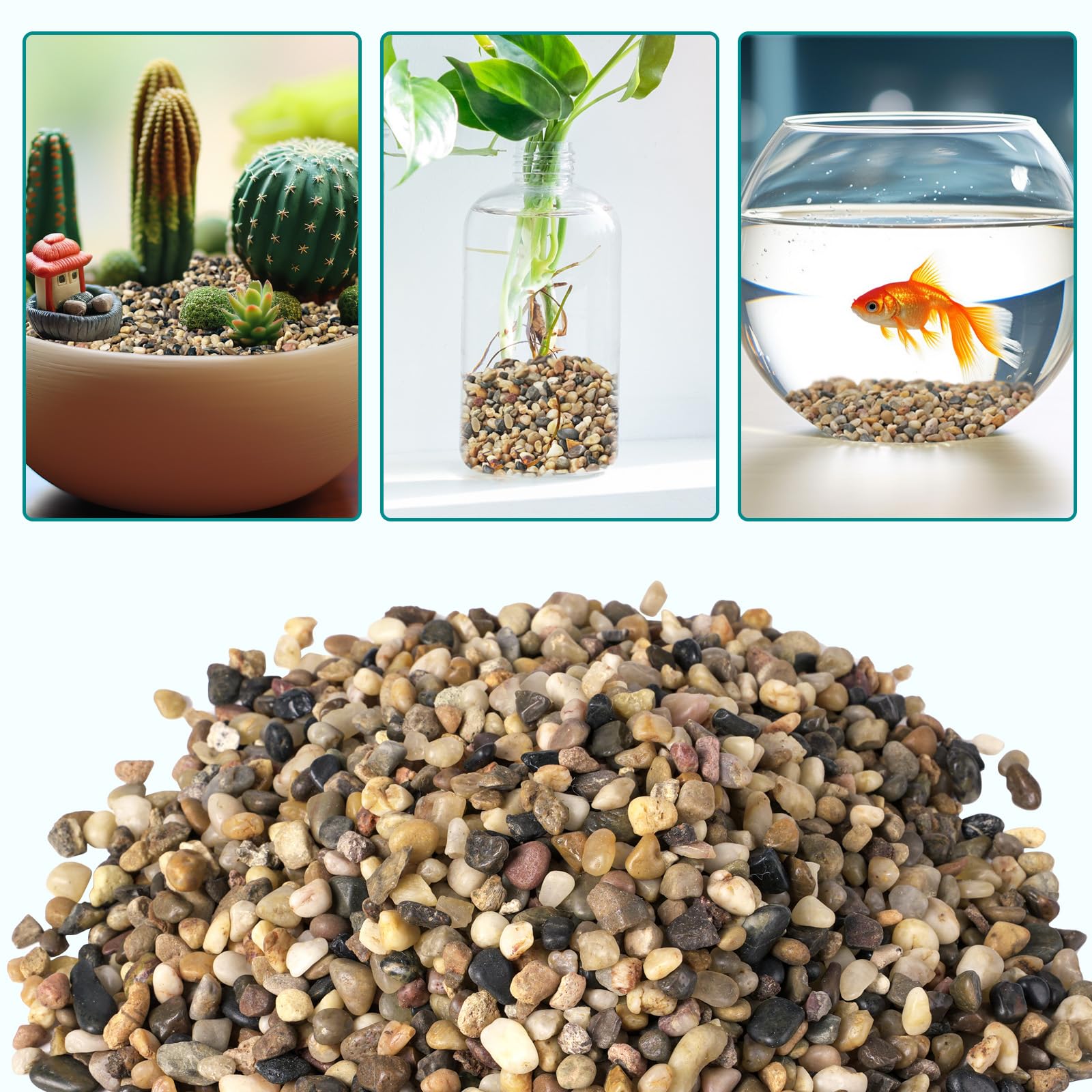 Rahato succulent and cactus garden pebbles, ideal for drainage and decorative beds.