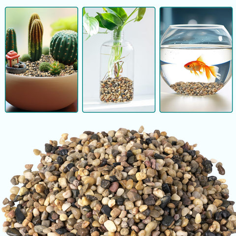 Rahato succulent and cactus garden pebbles, ideal for drainage and decorative beds.