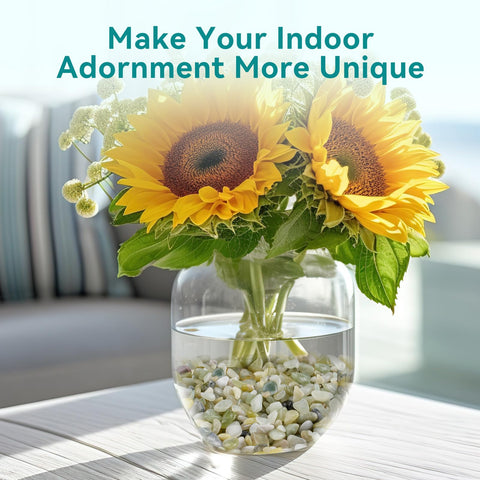 Rahato bamboo terrarium gravel creates a natural backdrop.