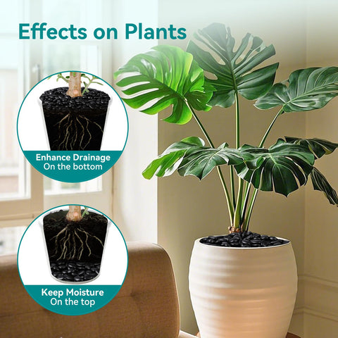 Rahato black rocks for indoor decor in vases and glass jars