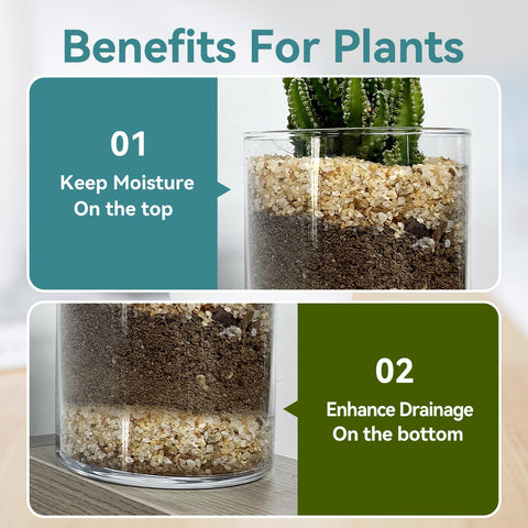 Rahato coarse sand decorative river bed in vases adds texture and color
