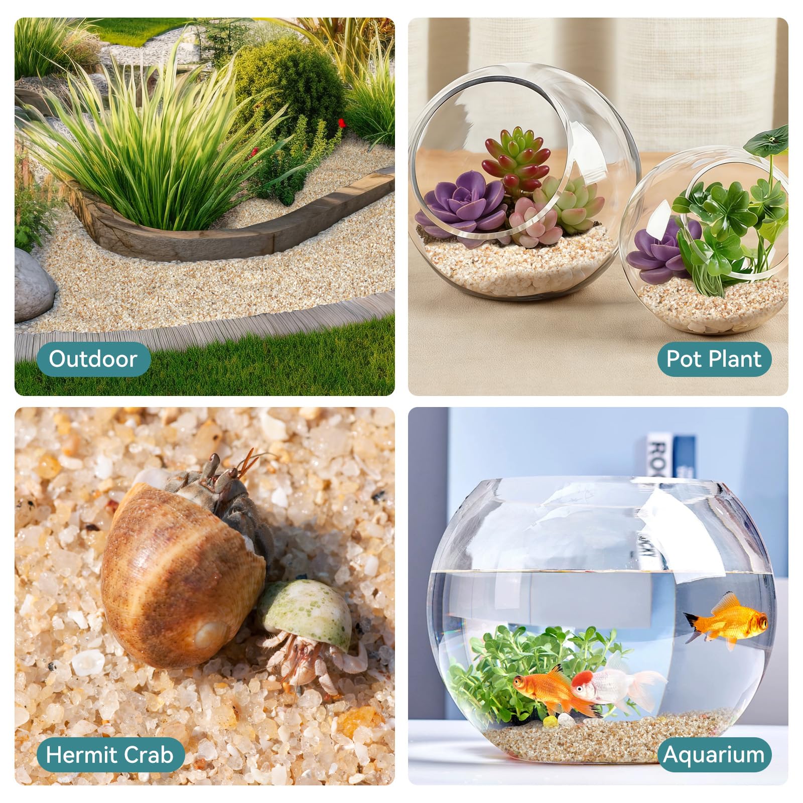 Rahato coarse sand for aquariums provides substrate and clean aesthetic.