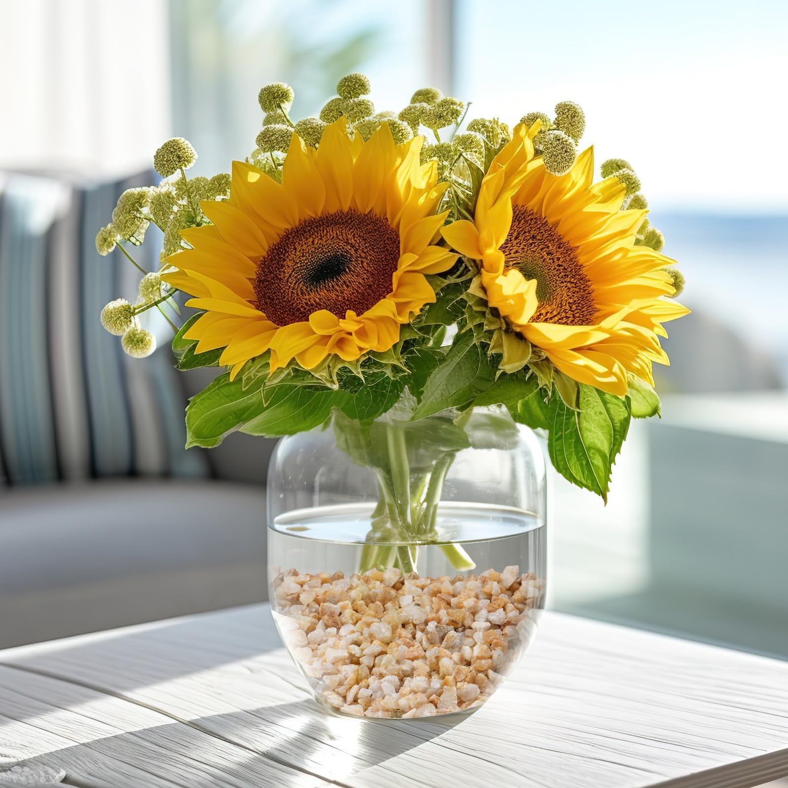 Rahato coarse sand planter decoration offers chic, natural soil accent.